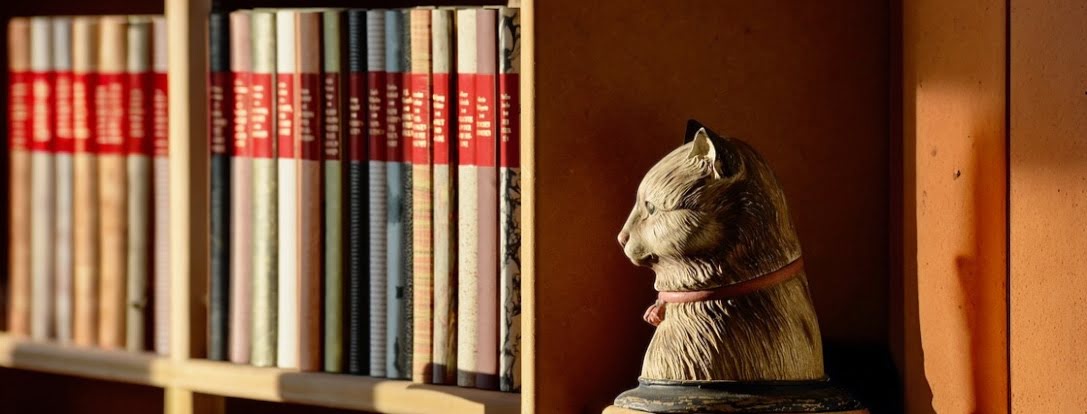 Boekensteunen bij Houseandgarden.shop