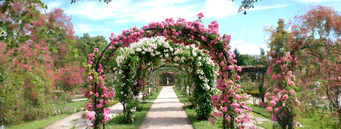 Bauerngarten bei Houseandgarden.shop