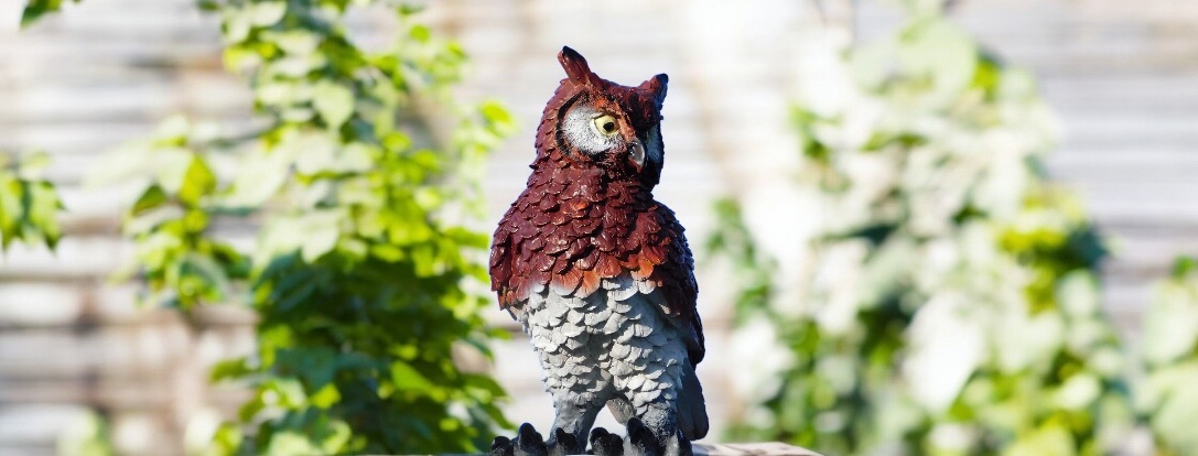 Diverse dierenbeelden van kunststof | uilen, vossen, beren en meer