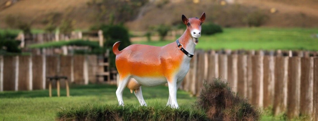 Tuinbeelden van geiten, schapen en rammen | levensecht in kleur | grote en kleine kunststof beelden