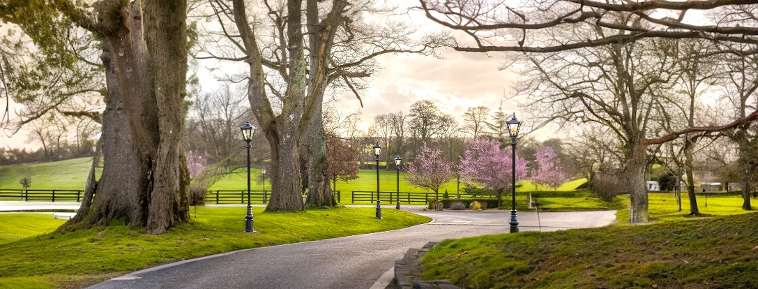 Lampadaires d'extérieur | lampes d'entrée, d'allée et de jardin | classiques