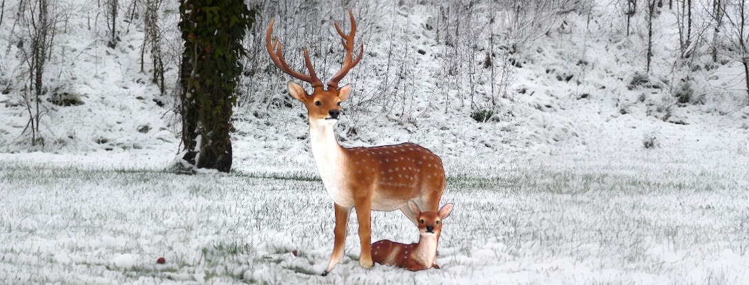 Gartenfiguren aus Kunststoff | Hirsche und mehr | farbig