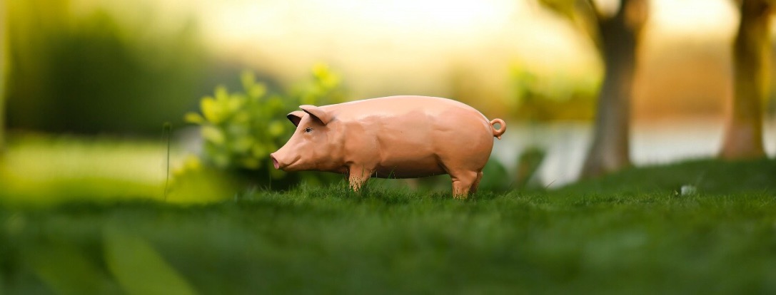 Tuinbeelden van varkens en zwijnen | kunststof figuren