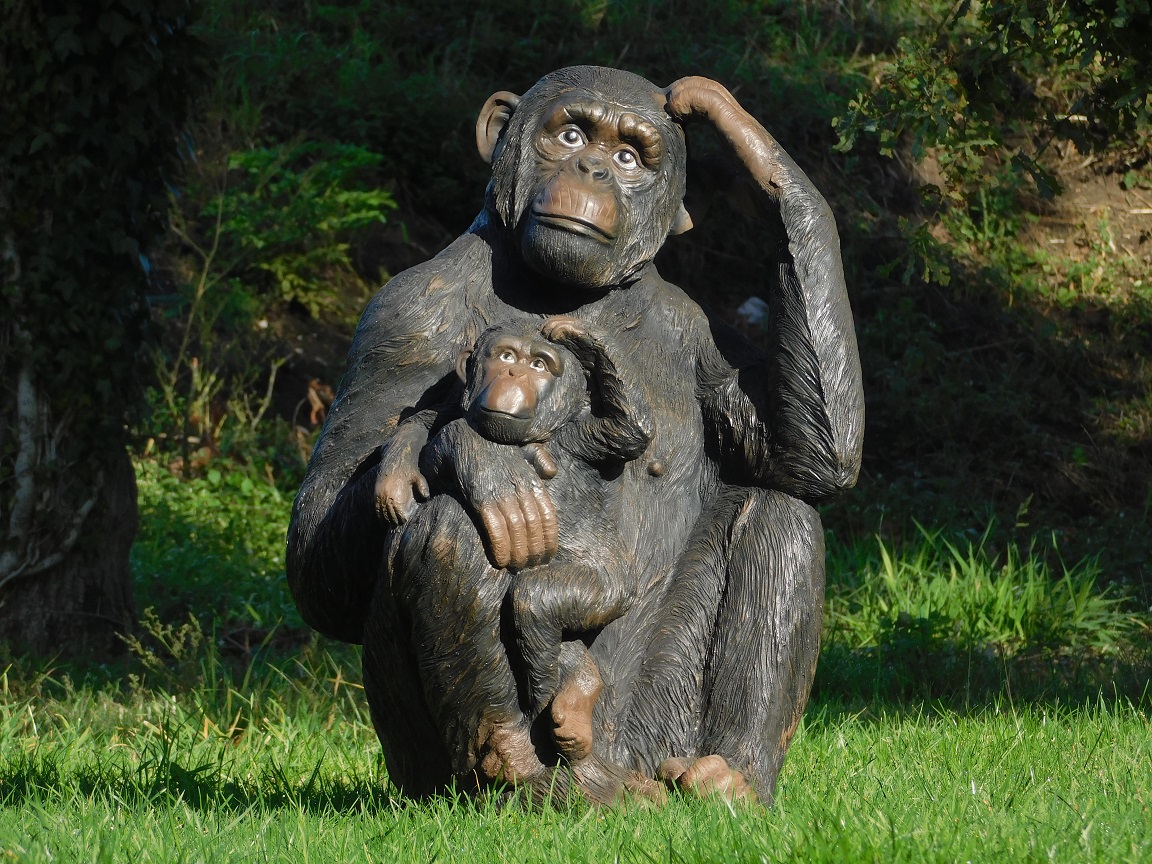 Uitgelichte categorie: dierenbeelden
