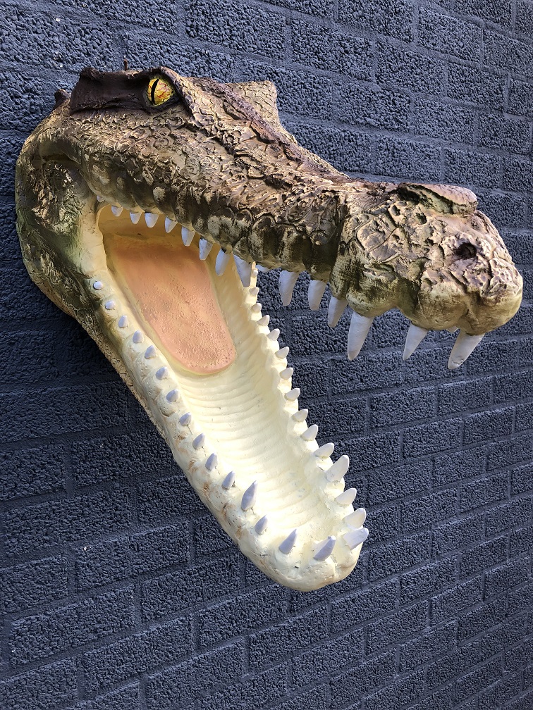 Levensechte krokodillen kop met open gesperde bek, heel mooi ontwerp!