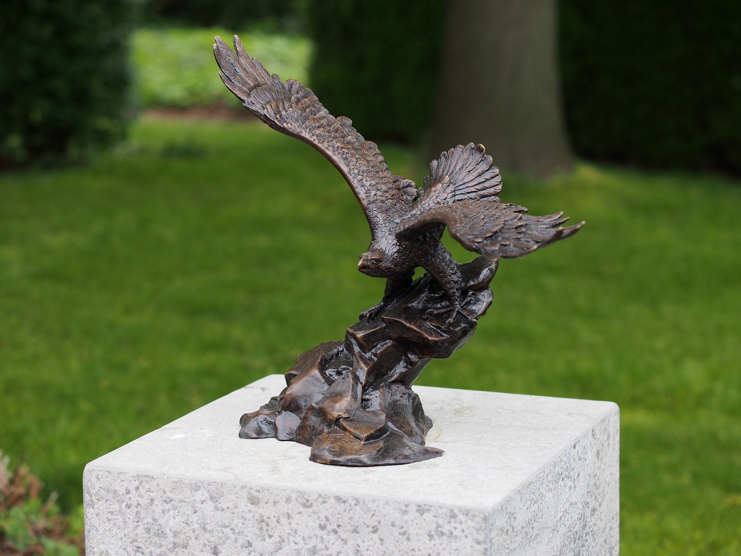 Adelaar beeld brons, bronzen beeld van adelaar met gespreide vleugels
