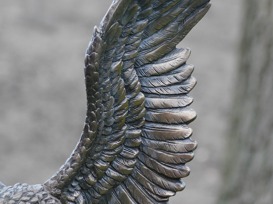 Imposant tuinbeeld adelaar, adelaar brons kleur, in detail