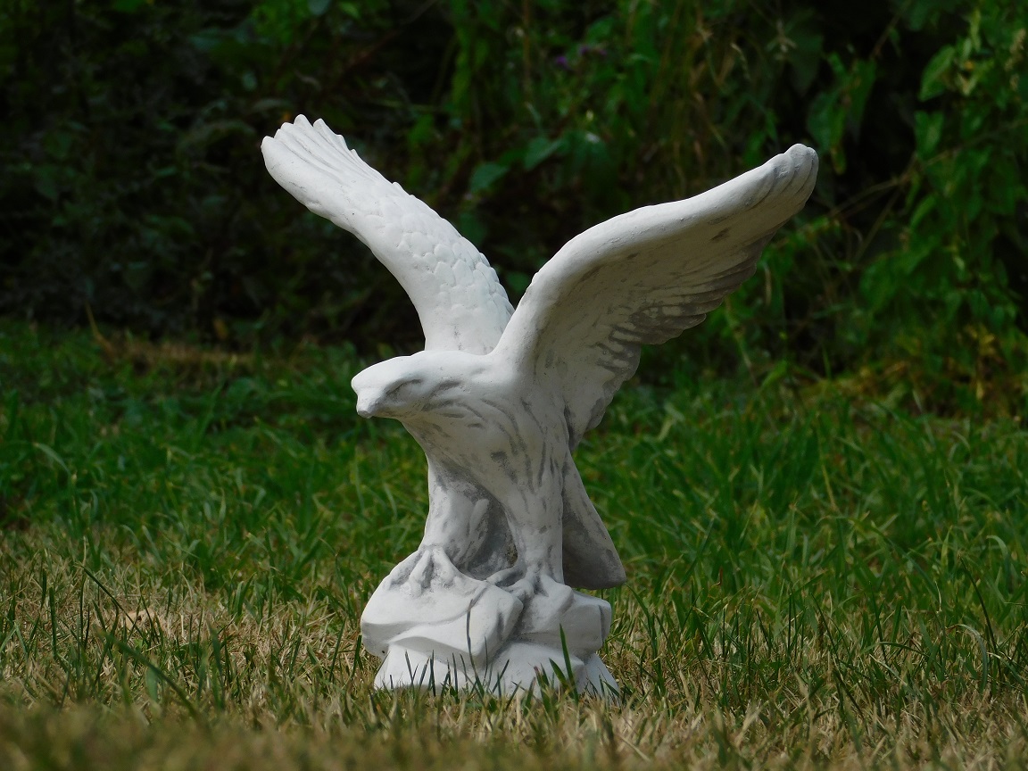 Adelaar, stenen tuinbeeld, roofvogel in actie