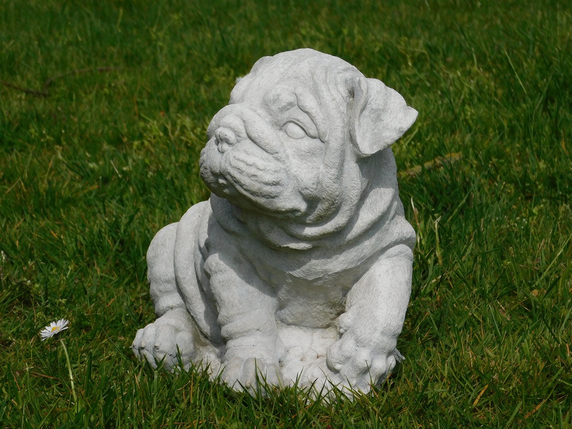 Beeld Bulldog puppy - vol steen