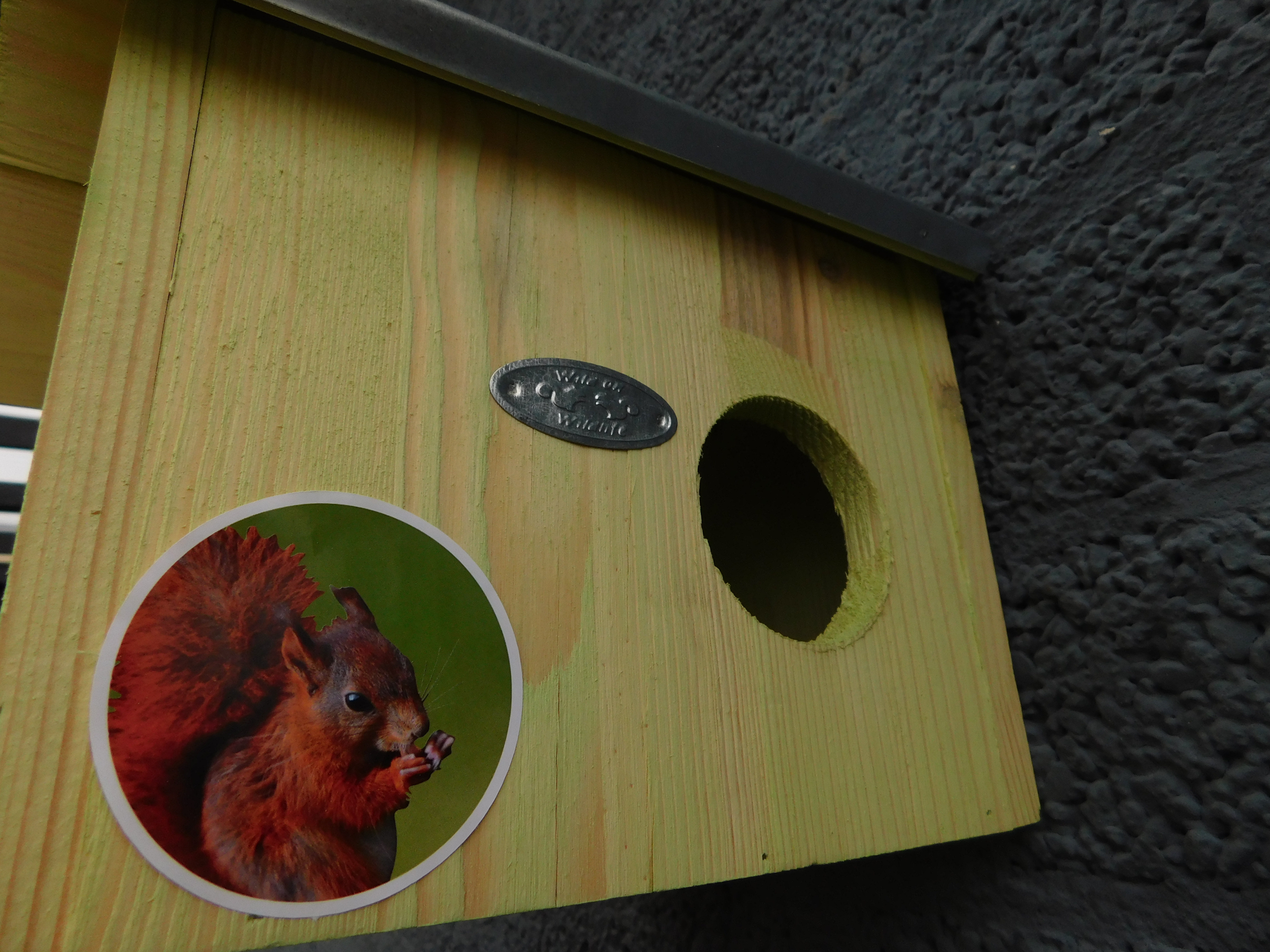 Nestkast voor eekhoorns en vogels