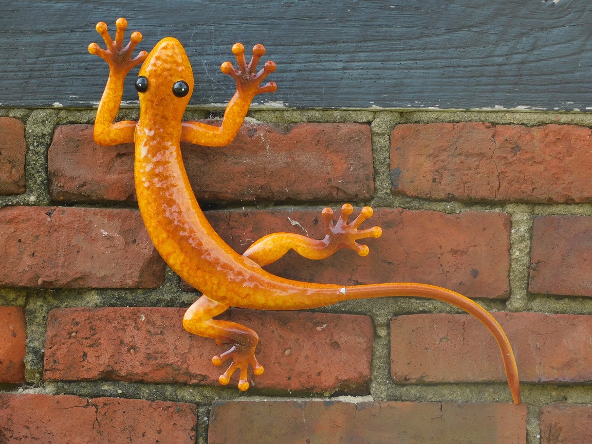 Gecko En Bois Flotté 50cm - Décoration Murale Exotique Artisanale Gecko En Bois Flotté 50cm - Décoration Murale Exotique Artisanale