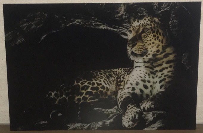 Prachtige kunst op glas van een luipaard / panter, heel mooi!
