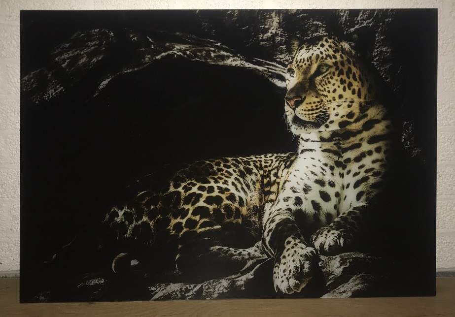 Prachtige kunst op glas van een luipaard / panter, heel mooi!
