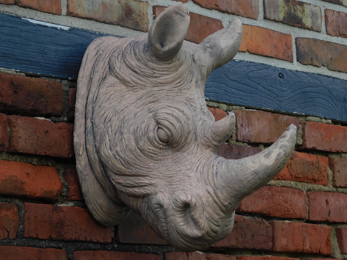 Een prachtige kop van een neushoorn, fraai in detail, polystone