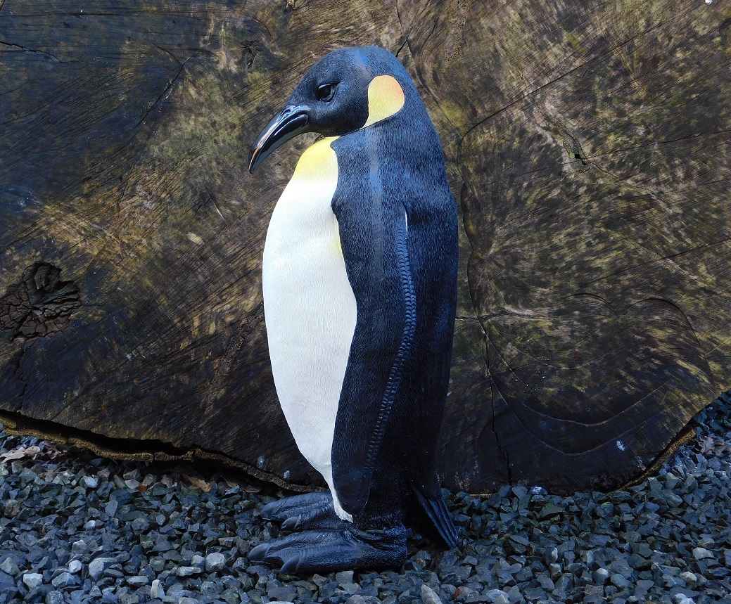 Gedetailleerd Pinguïn beeld - polystone