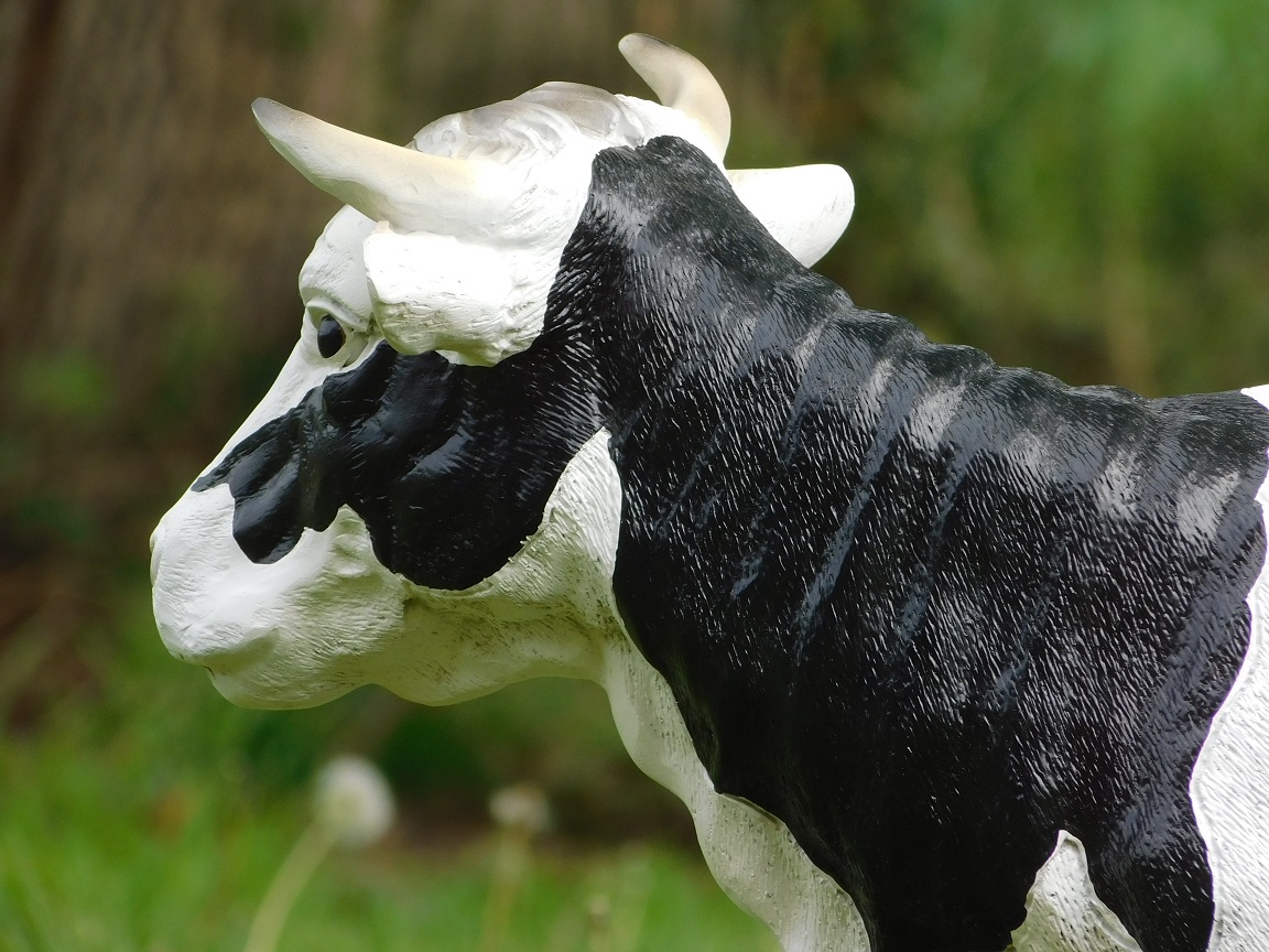 Beeld koe met hoorns - volledig van polystone
