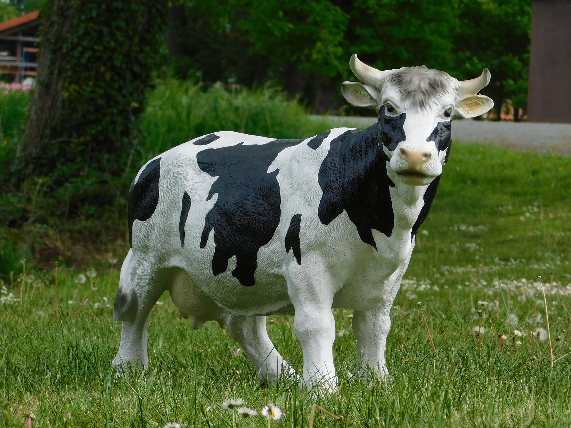 Beeld koe met hoorns - volledig van polystone