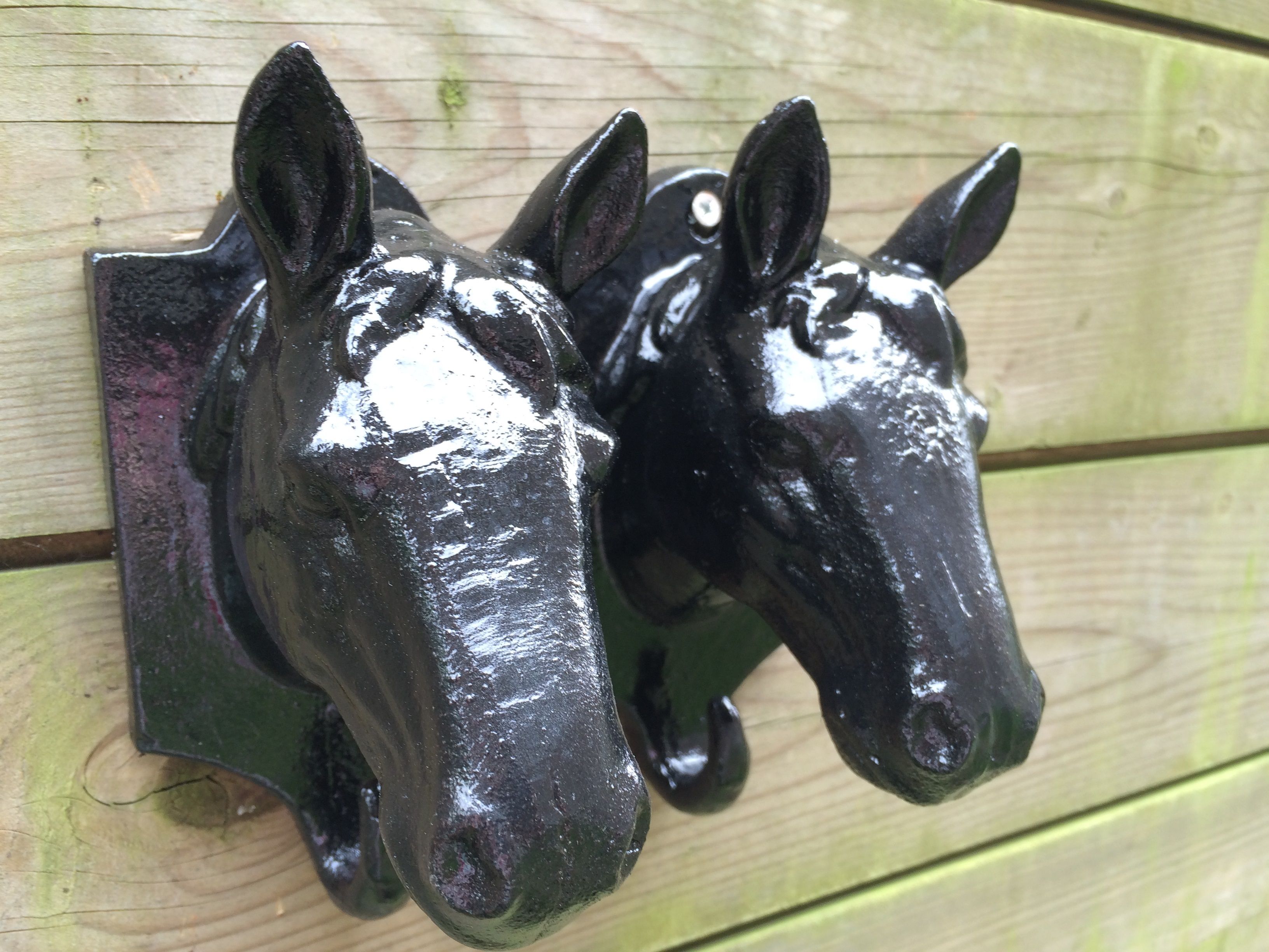 Set gietijzeren paardenhoofden als kapstok is een mooie schuur decoratie, kleur zwart-rust