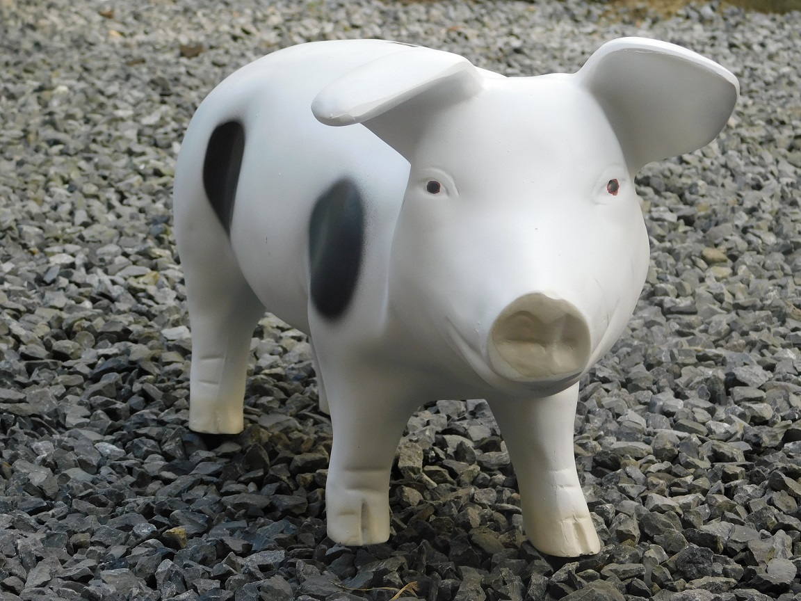 LUFEIS, hongerige hond spaarpot, hondenspaarvarken, hongerige spaarpot, kinderspaarpot, hond eet geld, schattige hond steelt munten, als magische munt, knabbelt aan spaarpot, cadeau voor kinderen