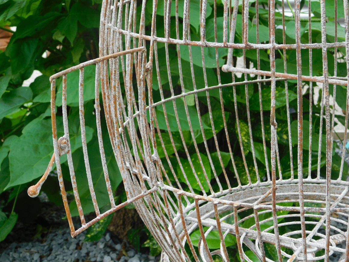 Klassieke vogelkooi, antiek ogende bird cage op voet, grote sierlijke kooi