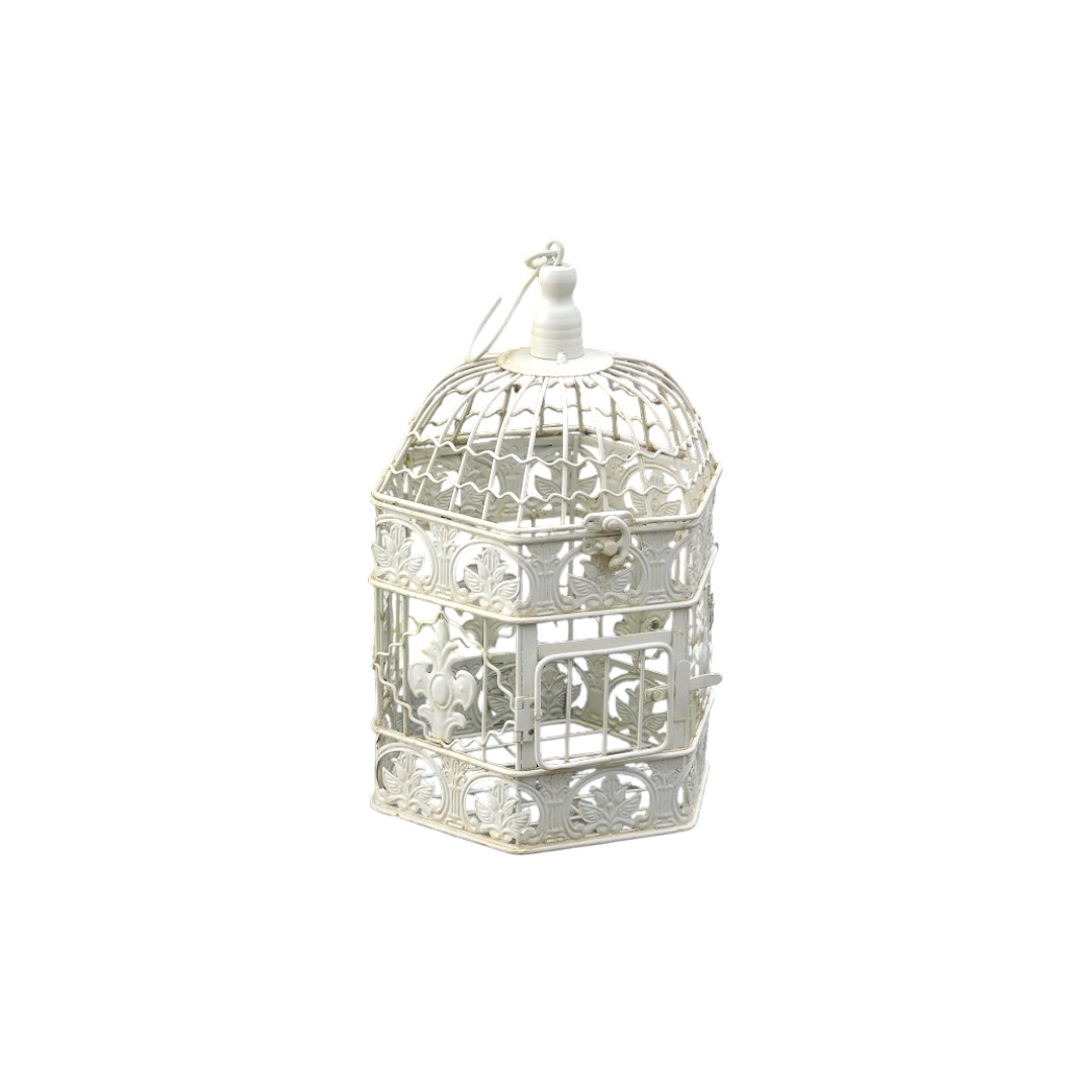 Shabby Chic Decoratie Met Een Prachtige Vintage Vogelkooi En Bloemen Stock Foto - Afbeelding