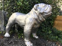 Bulldog groot en fors model, polystein.