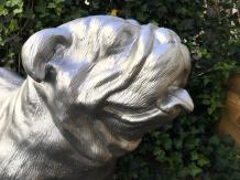 Bulldog groot en fors model, polystein.