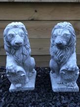 Zittende leeuwen - stenen dierenbeeld - 41 cm - set van 2