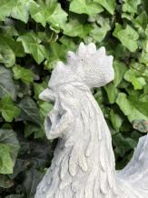 Haan - stenen dierenbeeld - 42 cm - wit - klassiek