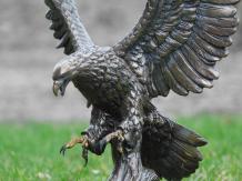 Aigle - ailes larges - polystone - 42 cm - couleur bronze