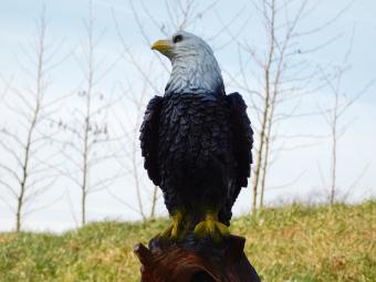 Adler auf Baumstumpf - Polystone Statue - 37 cm - in Farbe