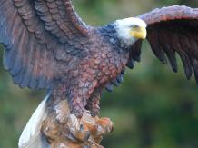 Adler - Flügel breit - Polystone - 40 cm - in Farbe