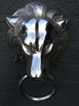 Magnifique impression en aluminium de la tête de lion pleine