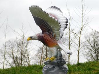 Statue Adler in Farbe - 60 cm - Polystone - Tierstatue