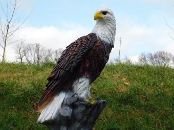 Aigle - statue en polystone - 105 cm - en couleur et en détail