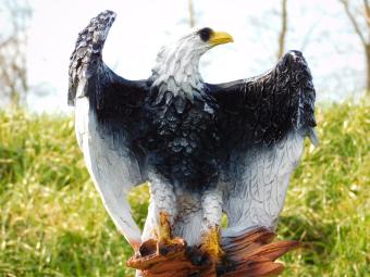 Adler mit ausgebreiteten Flügeln - Polystone - 45 cm - in Farbe