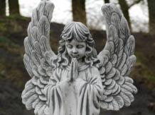 Ange - priant - statue en pierre - 55 cm - grandes ailes