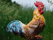 Tuinbeeld haan - kleurrijk - gietijzer - dierenbeeld buiten