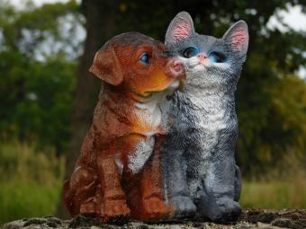 Beeldje Hond en Kat - Polystone - in Kleur