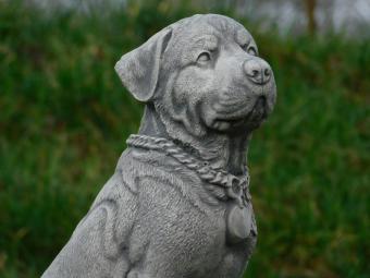 Rottweiler - chien - statue en pierre - 35 cm - en détail