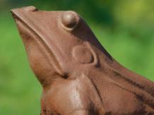Grenouille - fonte - 25 cm - oxyde - statue robuste