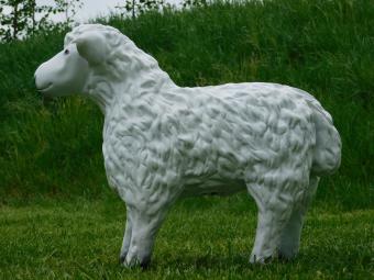 Schaap - polystone beeld - 50 cm - realistische kleur