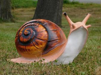 Beeld Slak - 40 cm - Polystone