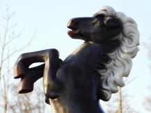 Steigerende paard - polystone beeld - 80 cm - zwart