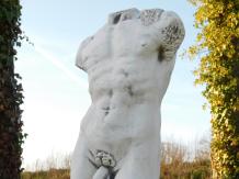 Torse masculin - statue en pierre - 57 cm - classique