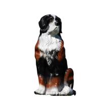 Berner sennenhond - polystone beeld - 76 cm - wit/bruin