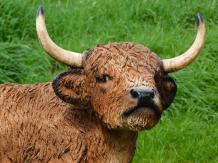 Schottischer Hochlandrinder - Polystone - 90 cm - in Farbe und Detail