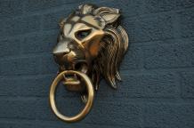 aluminium lourd, impression de couleur laiton tête de lion pleine