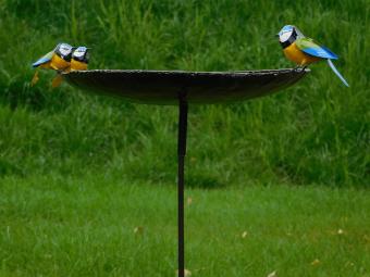 Vogelbad mit Blaumeisen - 2 für 1 - Metall-Gartenstecker