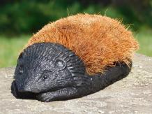 Schuhbürste Igel, Schuhputzer Haustür, Bürste Schuhbürstel